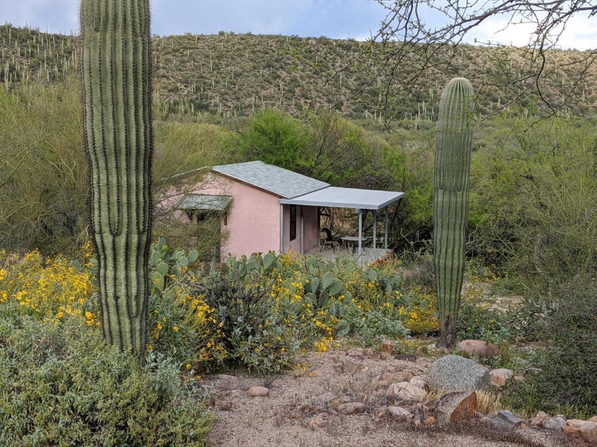 Saguaro Lake Ranch Villa Fountain Hills Exterior photo